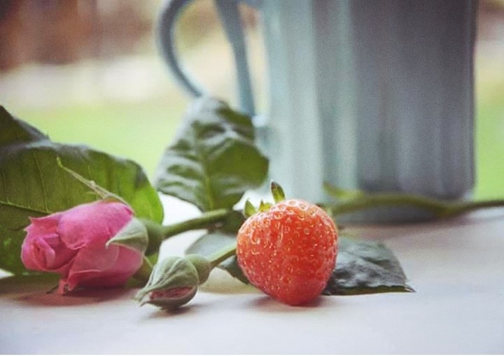Good morning