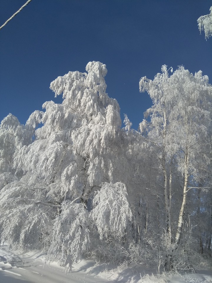 Зимние красоты 6