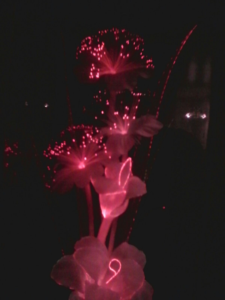 lighting flower