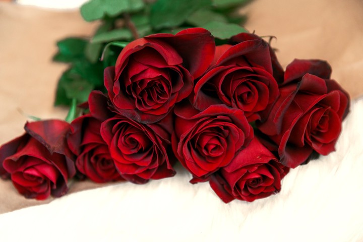roses