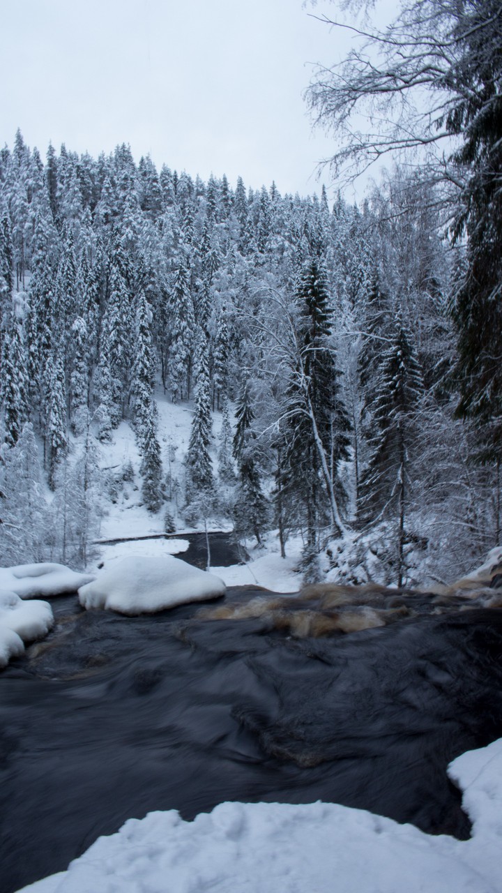 Winter