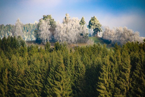 Der Nebel verschwand