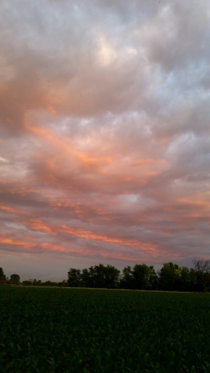 cielo rosa