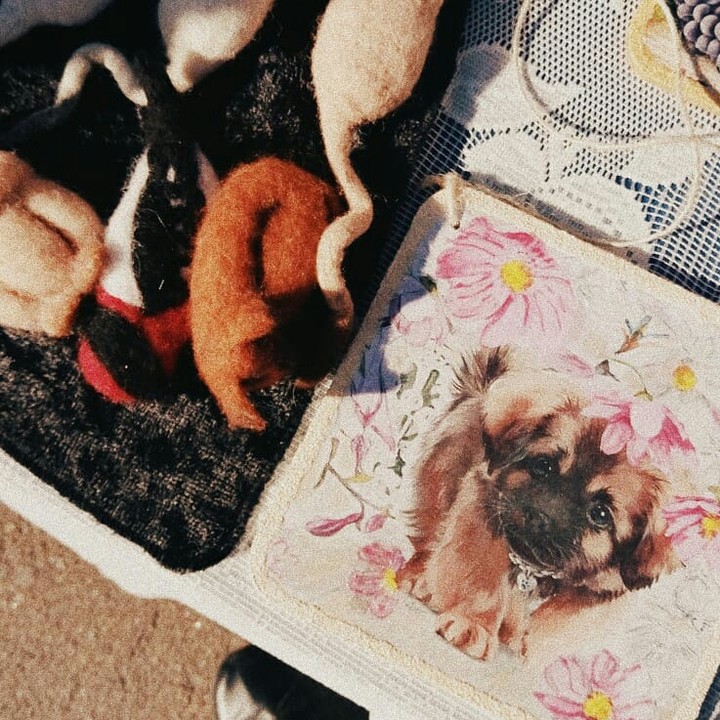 мило