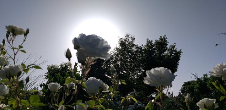 sun shine in UN