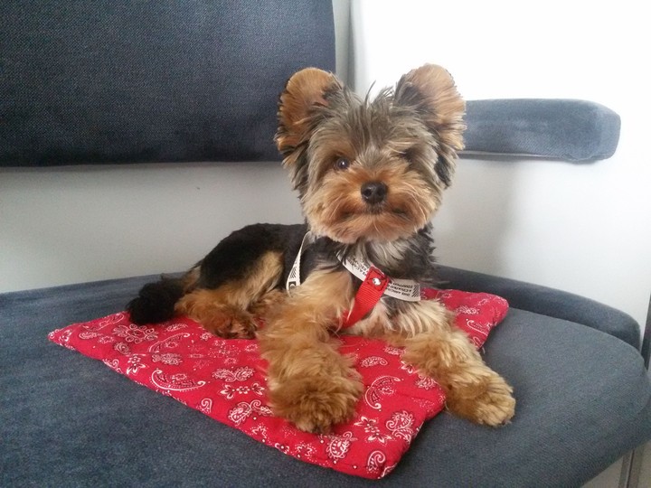 my little boy