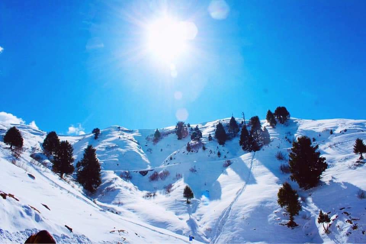 Dalhousie
