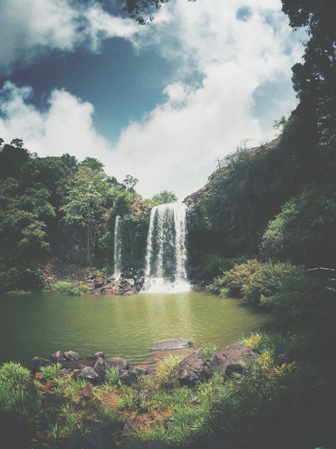 Nature