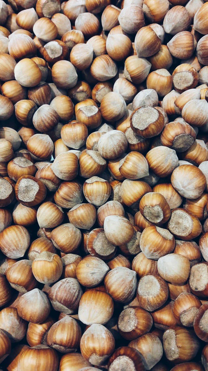 nuts