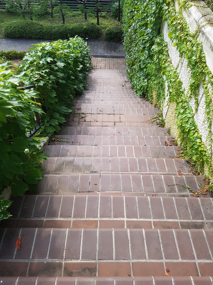 계단