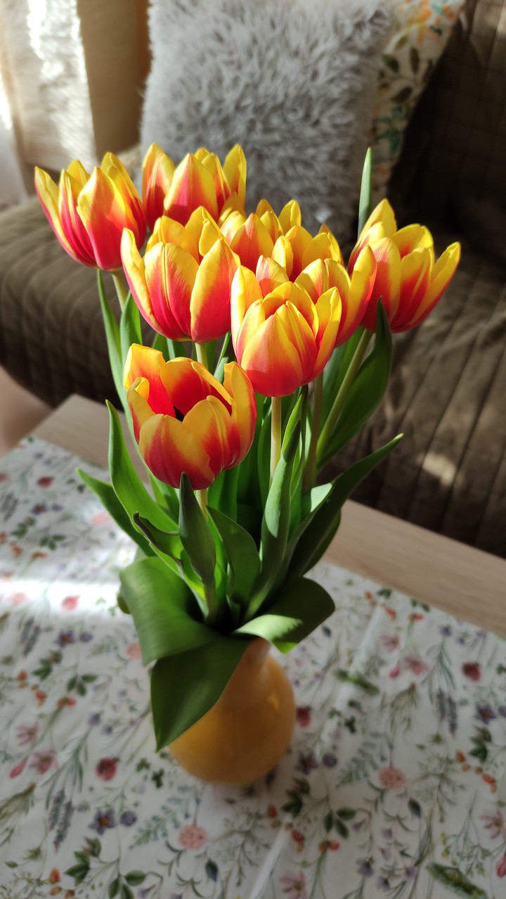 Tulips in a living room
