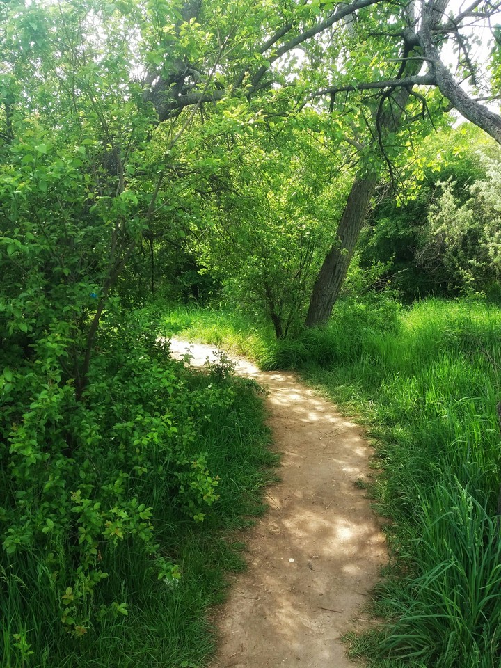 nature