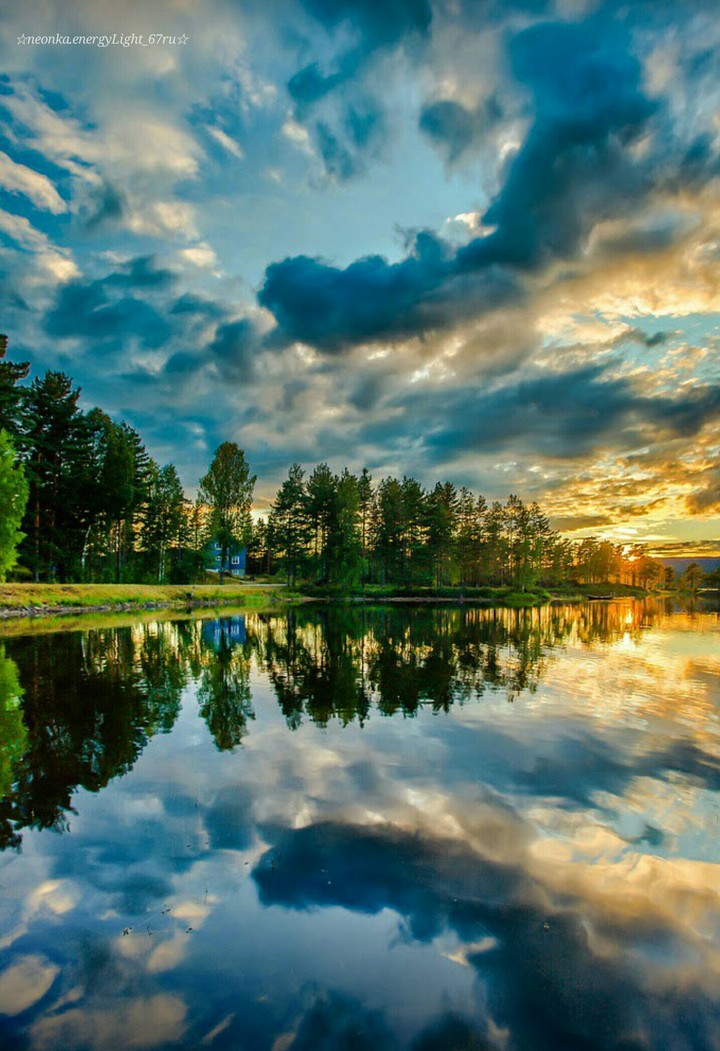 nature