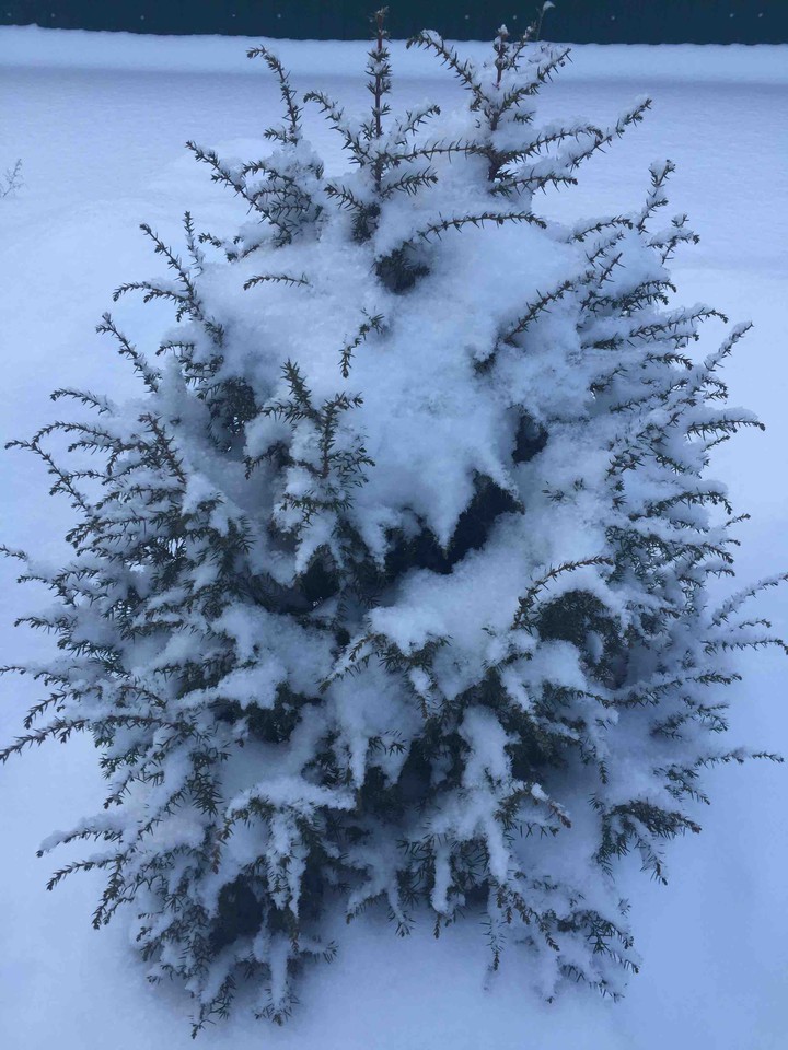 замело
