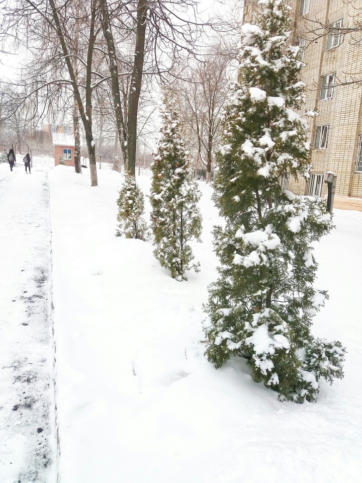 snow
