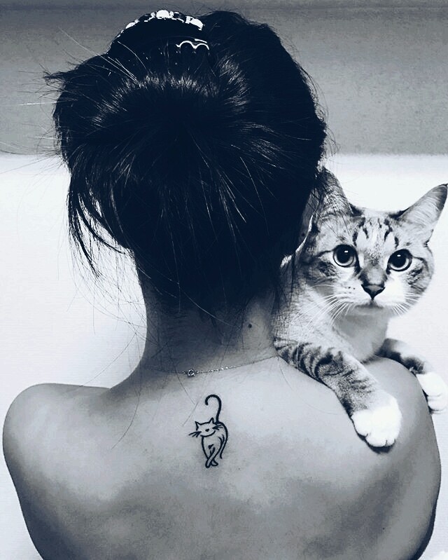 cat