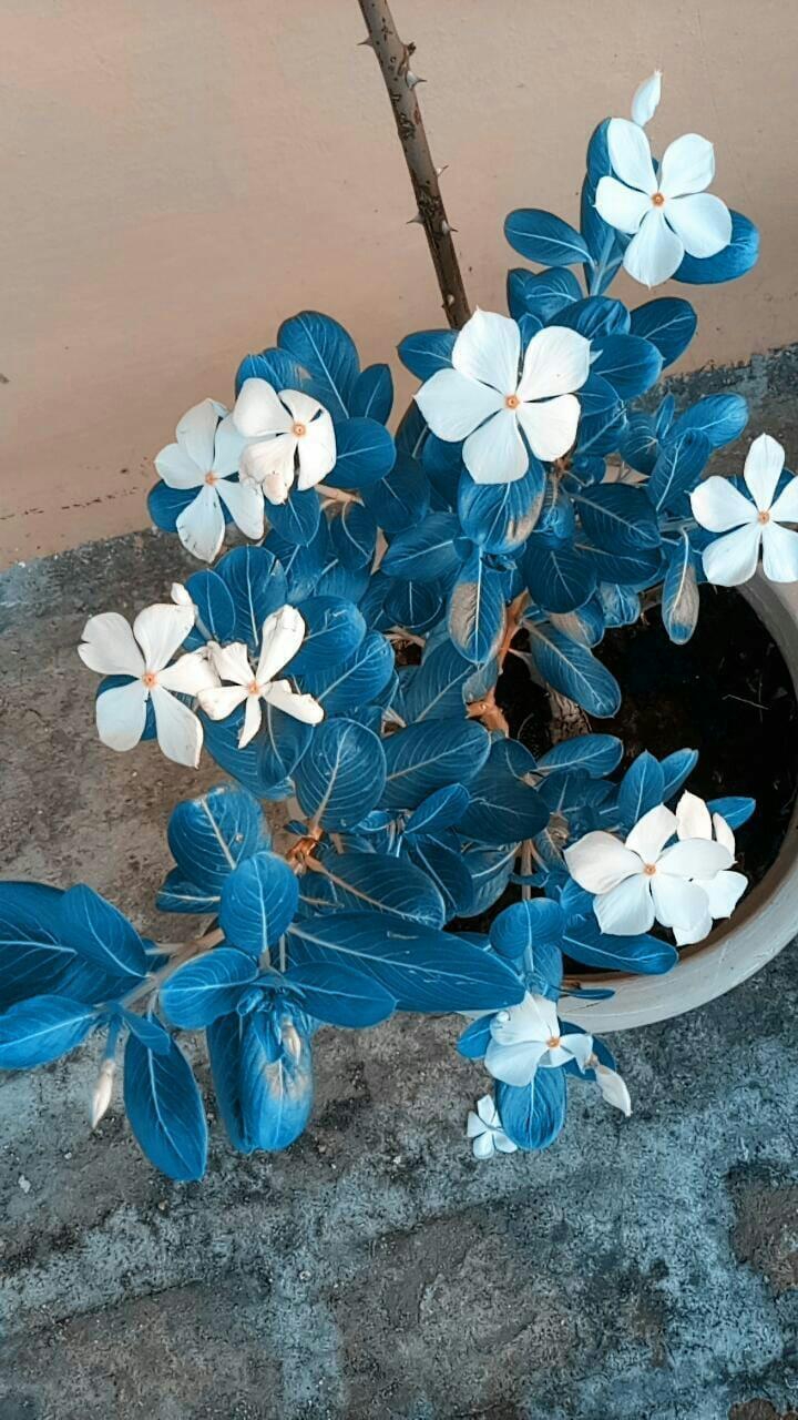 ..