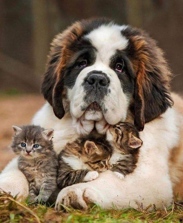 Big Friend :)