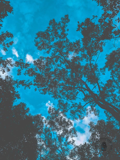 sky ?❤