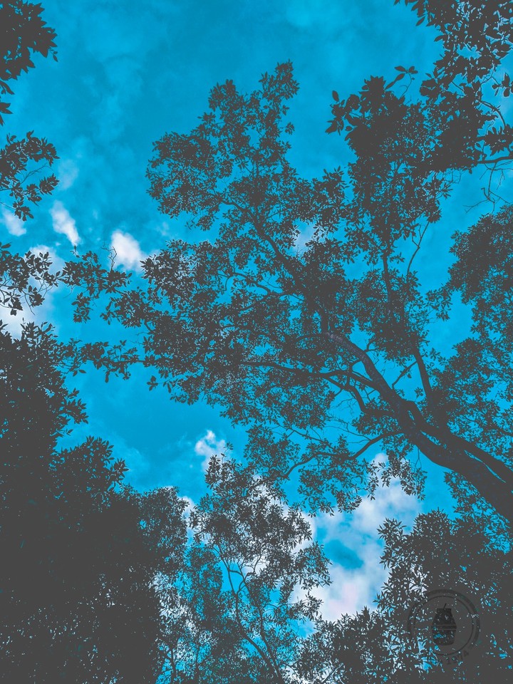 sky ?❤