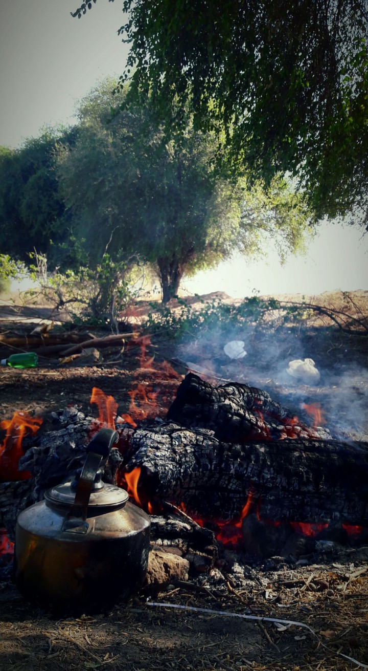 منظره-باوی