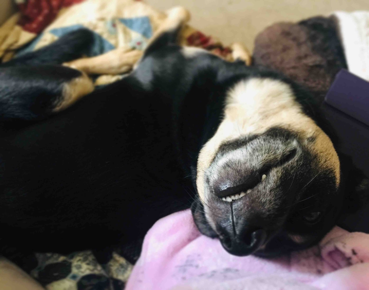 Max