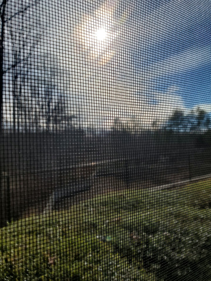 belowthesun