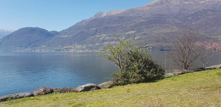 Lago
