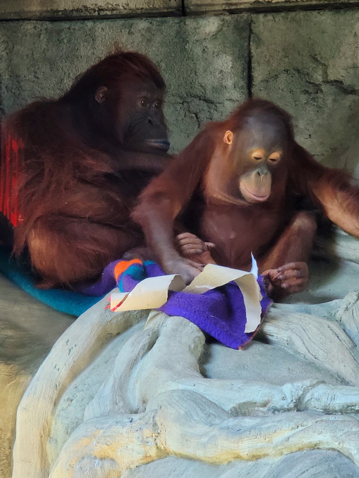 Erie Zoo