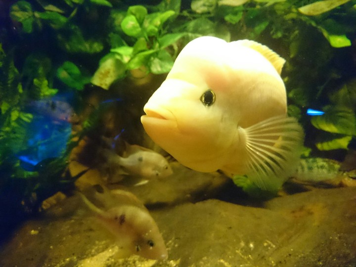 Hello there