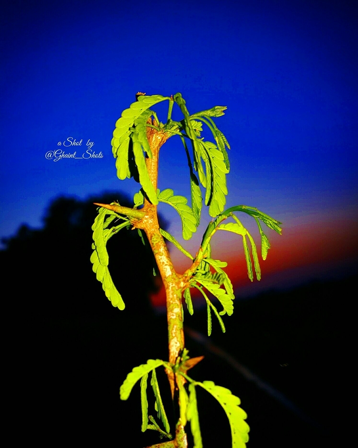 Sunset  @Ghaint_Shots