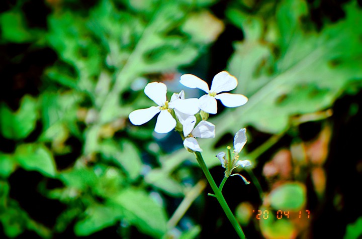 ??