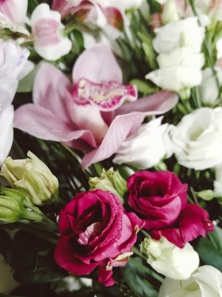 flowers
