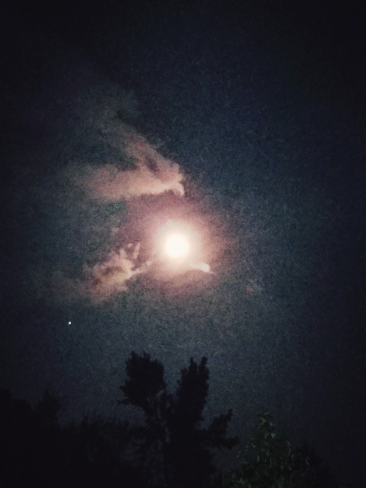Night Moon