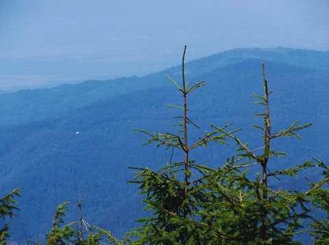 mountains
