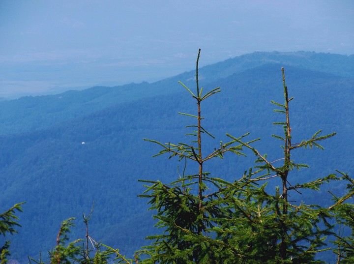 mountains