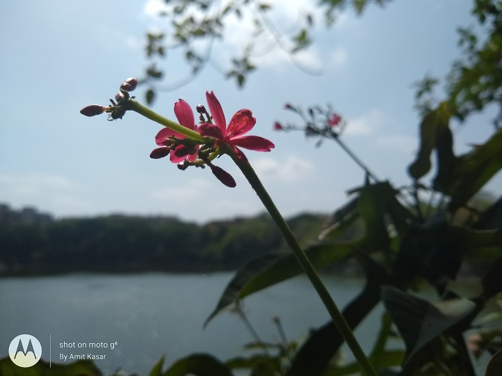 seepz lake