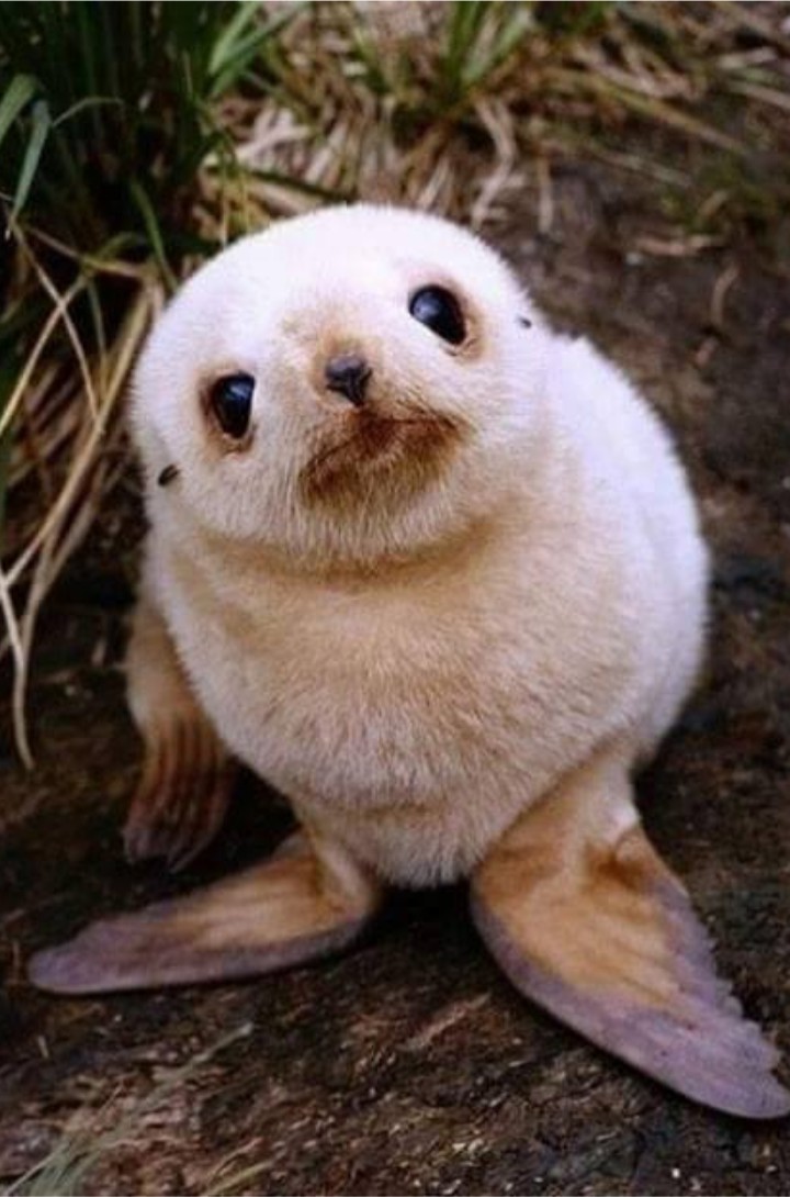 what are u looking dude ?. .
