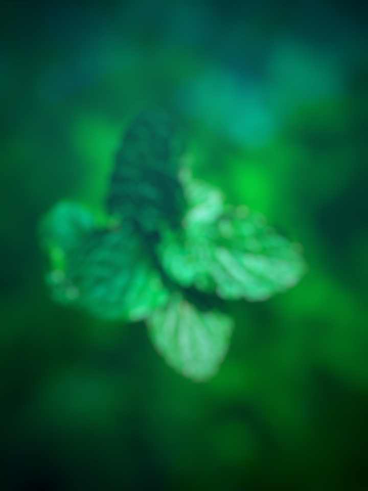 green background