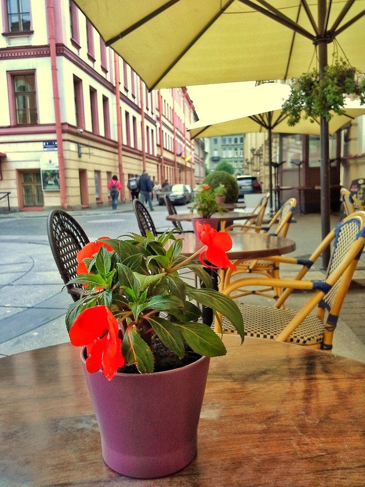 flowers in spb