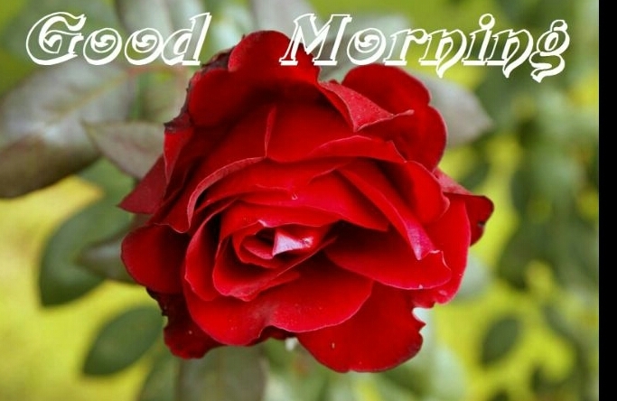 Good morning Good luck