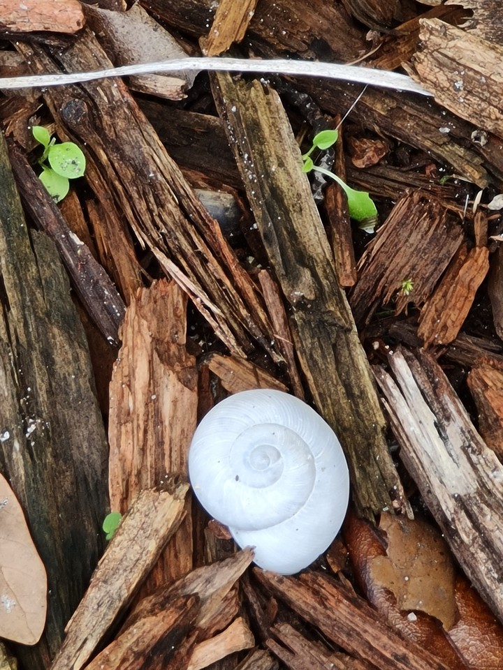 Belleza de la naturaleza