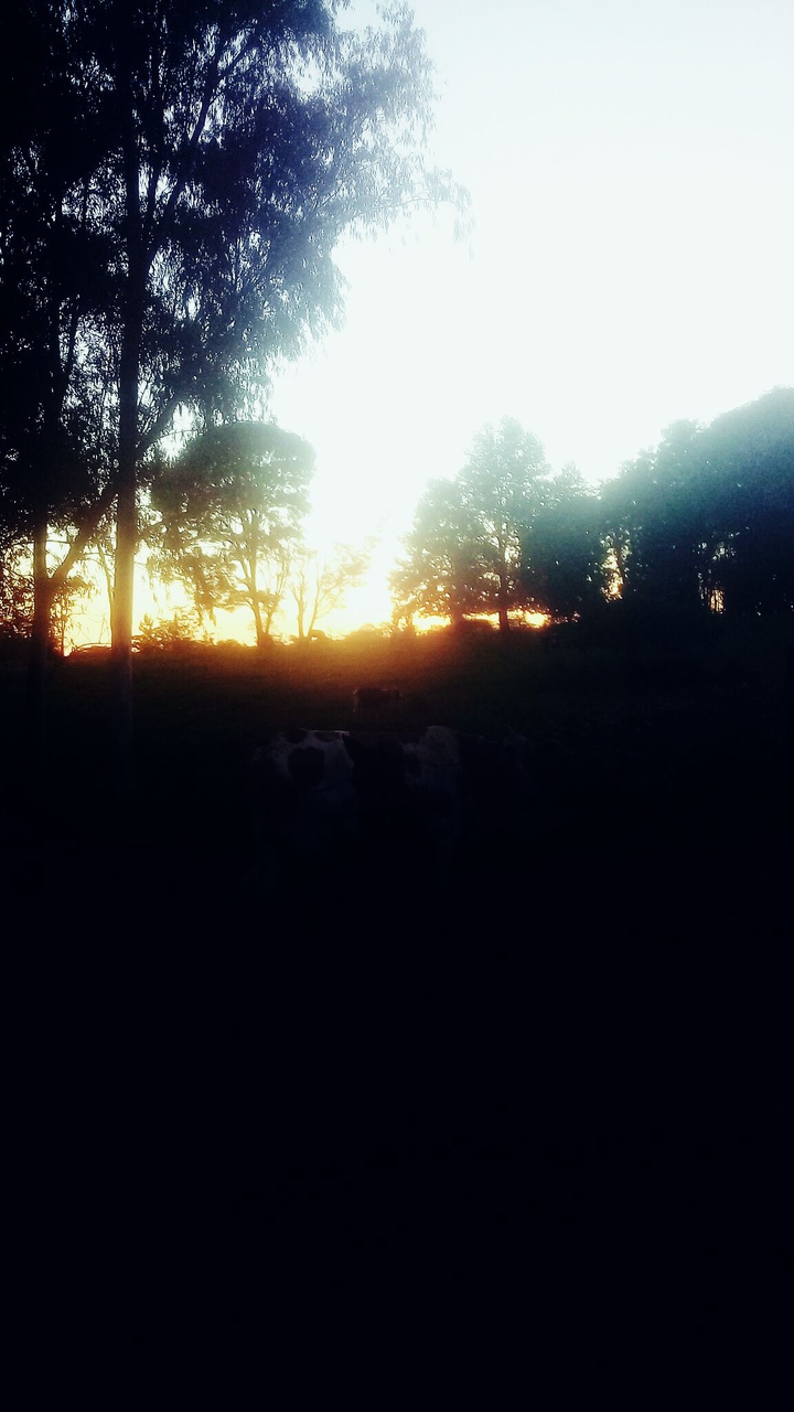 atardecer