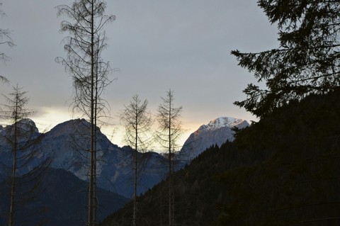Listenin' the nature in Friuli