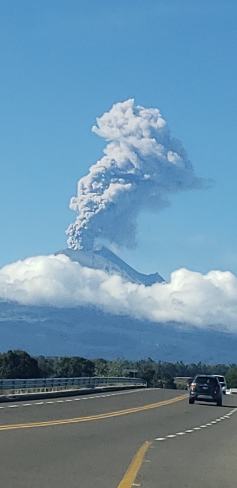 la naturaleza