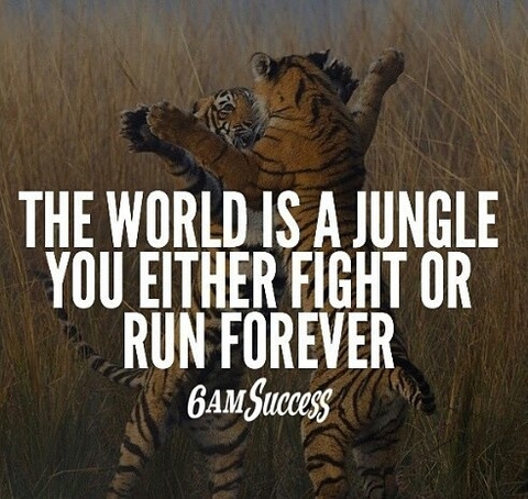 for success