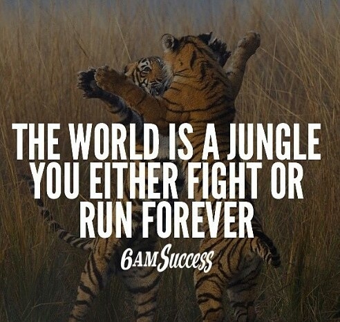 for success