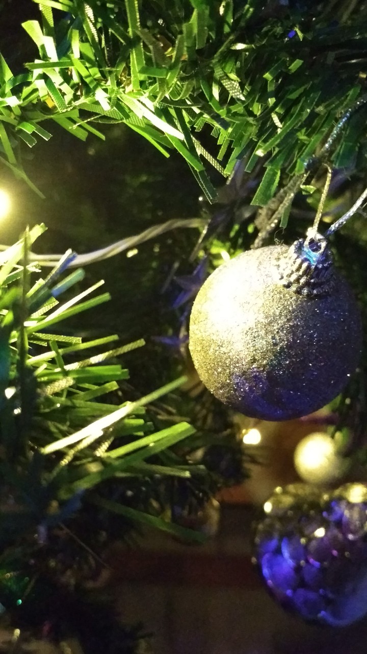 Marr Christmas 