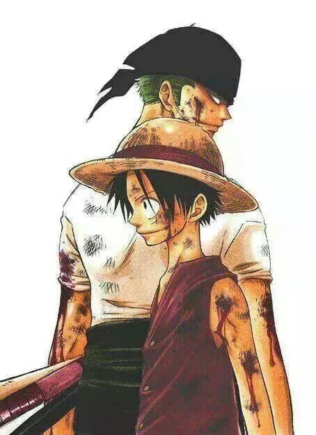 luffy zoro