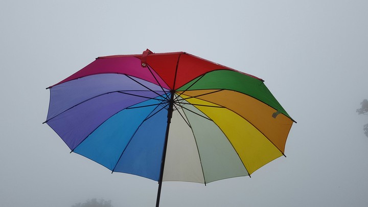 Umbrella
